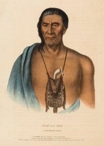 TISH-CO-HAN. A DELAWARE CHIEF, from History of the Indian Tribes of North America by Charles Bird King