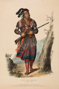 TUKO-SEE-MATHLA. A SEMINOLE CHIEF., from History of the Indian Tribes of North America by Charles Bird King
