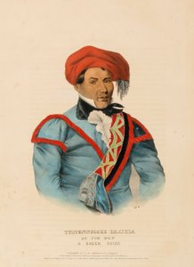 TUSTENNUGGEE EMATHLA, from History of the Indian Tribes of North America by Charles Bird King