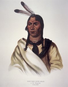 The Sleepy Eye by Charles Bird King