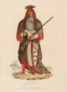 Wa-Na-Ta, Grand Chief of the Sioux, from History of the Indian Tribes of North America by Charles Bird King