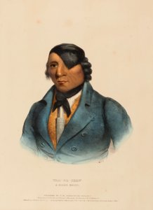 Waa-Pa-Shaw, a Sioux Chief, from History of the Indian Tribes of North America by Charles Bird King