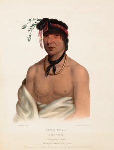 Wesh-Cubb, a Chippeway Chief, from History of the Indian Tribes of North America by Charles Bird King