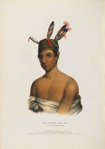 Wa-kawn-ha-ka - A Winnebago Chief by Charles Bird King
