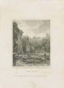 Dovedale - Cotton