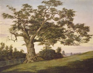 The Charter Oak by Charles de Wolf Brownell
