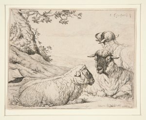 Three Sheep by Charles Echard