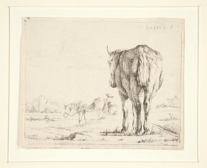 Two Horses Grazing by Charles Echard