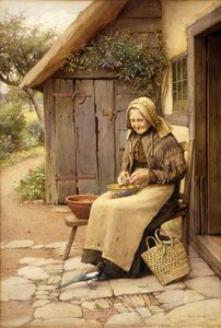 A Fine-Feathered Friend by Charles Edward Wilson
