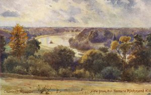 River Thames: View from the Terrace Richmond Hill by Charles Edwin Flower