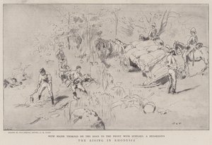 The Rising in Rhodesia