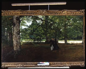 Promenade In The Woods