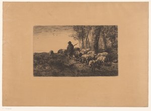 Shepherd with Group of Pigs