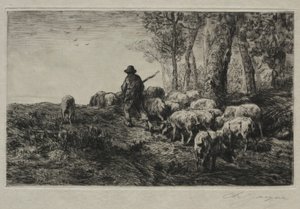 A Herd of Swine