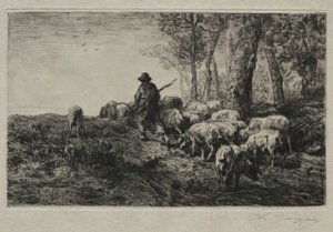 A Herd of Swine
