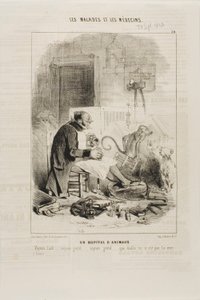 An Animal Hospital (plate 20) by Charles Emile Jacque