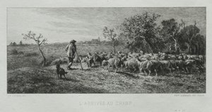 Arriving at the Field