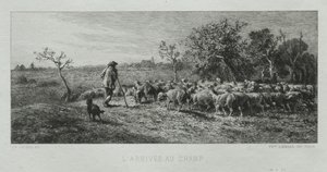 Arriving at the Field