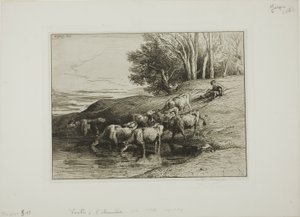 Cows at the Watering Place