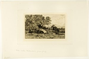 Dutch Cows