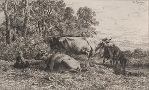 Dutch Cows, 1864
