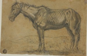 Emaciated Horse; Frontal View of a Horse by Charles Emile Jacque