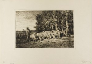 Flock of Sheep at the Edge of a Wood