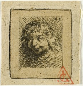 Head of a Breton by Charles Emile Jacque