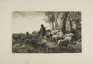 Man with Herd of Pigs