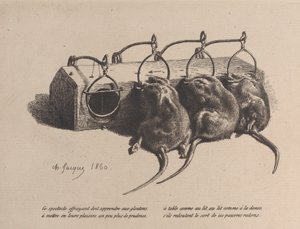 Mousetrap by Charles Emile Jacque