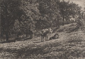 Orchard