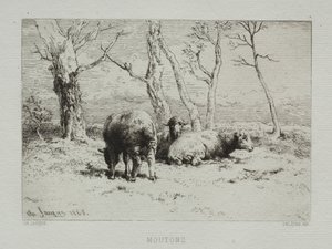 Sheep, 1868 by Charles Emile Jacque