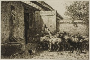 Shepherdess