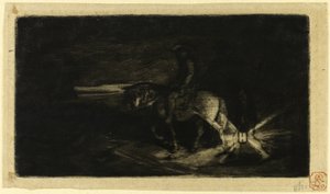 The Rider