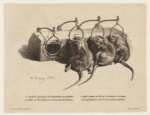 The Mousetrap by Charles Emile Jacque