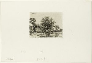 Trees and Cows near a Pond