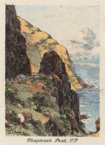 South Africa: Chapman