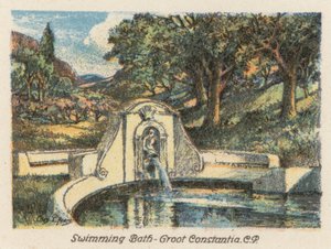 South Africa: Swimming Bath, Groot Constantia, CP