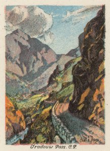 South Africa: Tradouw Pass, CP