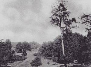 Knole Park by Charles Essenhigh Corke