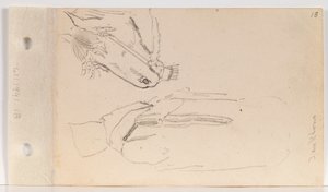 Study of a Yankton Indian and a Horse