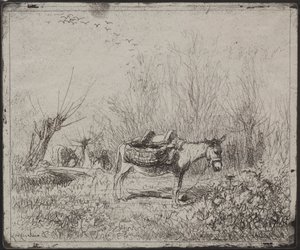 A Donkey in the Field by Charles Francois Daubigny