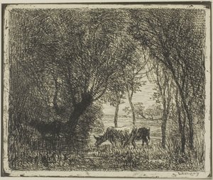 Cows in a Wood