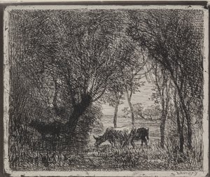 Cows in the Woods