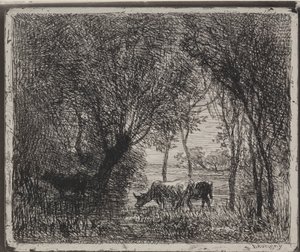 Cows in the Woods