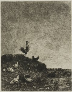 Dawn (The Cock