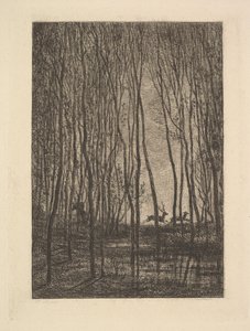 Deer in the Woods by Charles Francois Daubigny