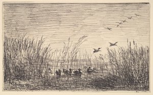 Ducks in the Marshes by Charles Francois Daubigny