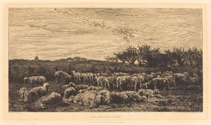 Large Sheepfold