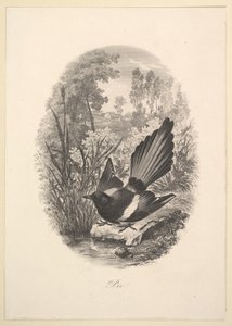 Magpie, 1843 by Charles Francois Daubigny